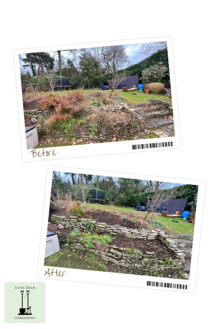 Before and after views of a landscaped garden with stone features and greenery.